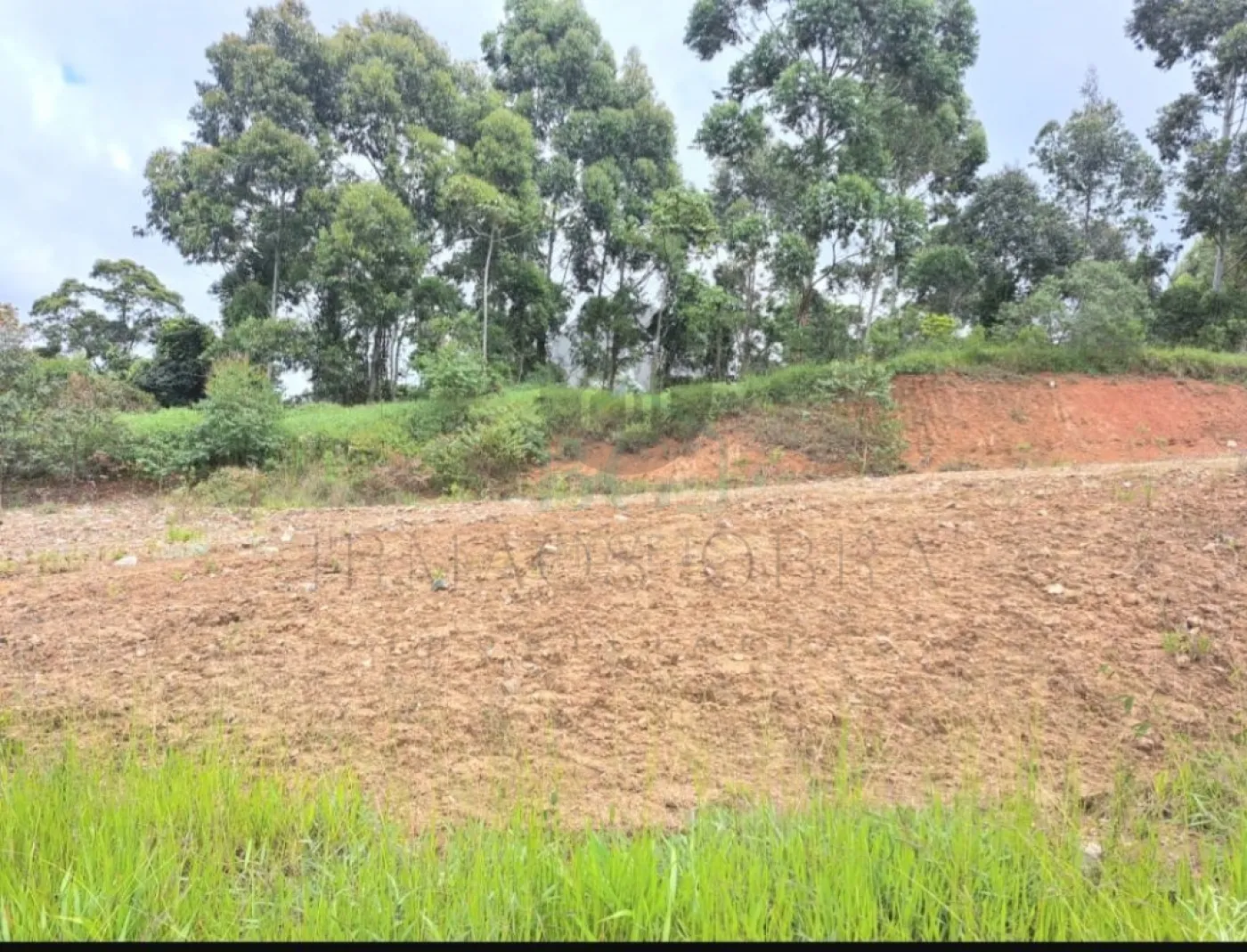 Terreno, 214 m² - Foto 7