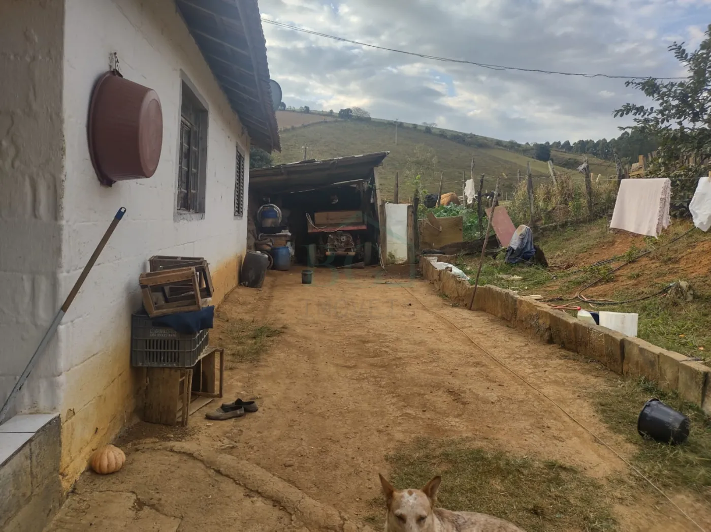 Chácara, 2 hectares - Foto 3