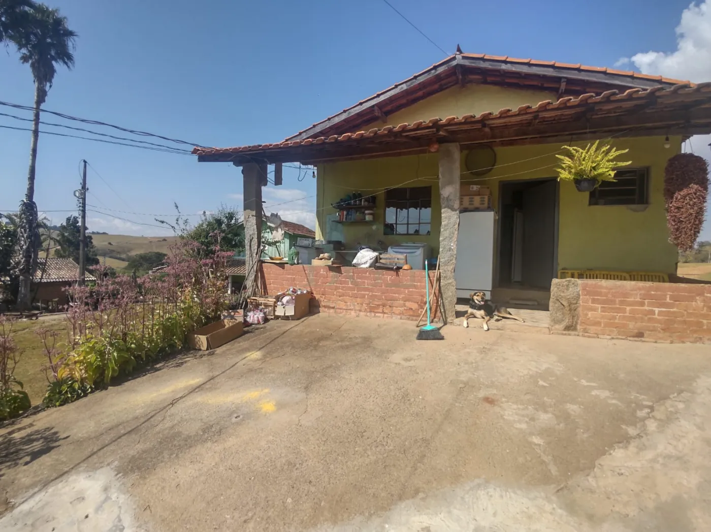 Sítio, 5 hectares - Foto 2