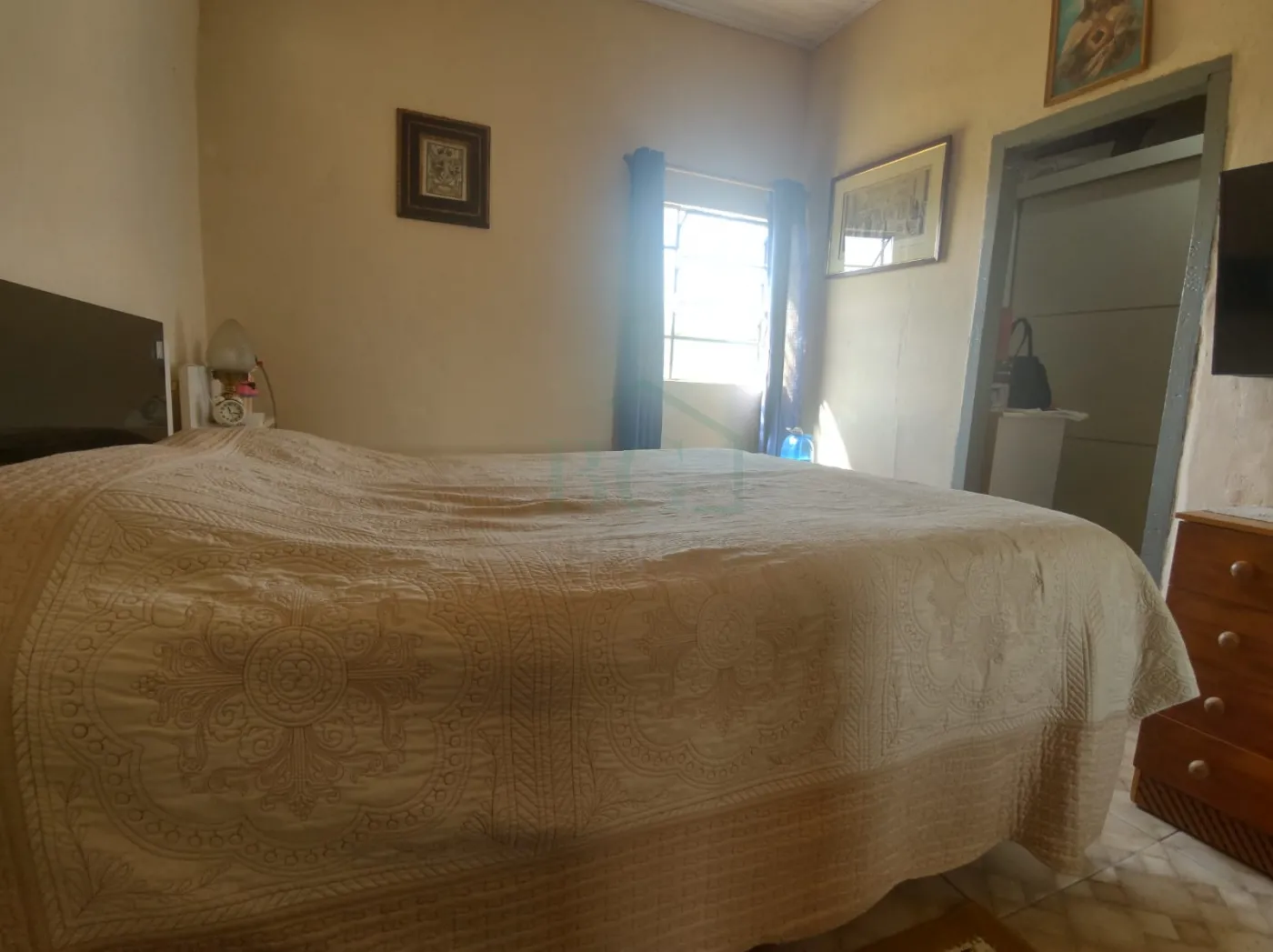 Sítio, 5 hectares - Foto 5