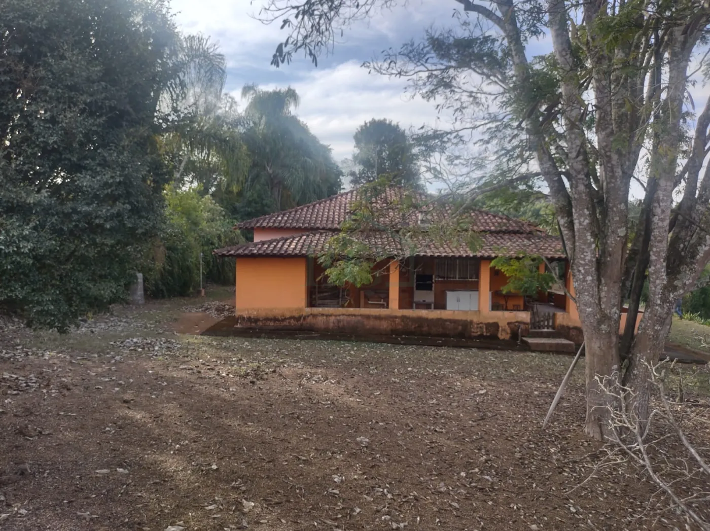 Sítio, 26 hectares - Foto 5