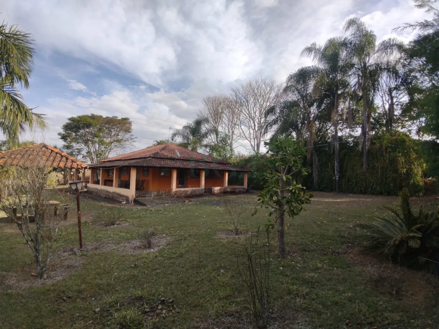 Sítio, 26 hectares - Foto 4