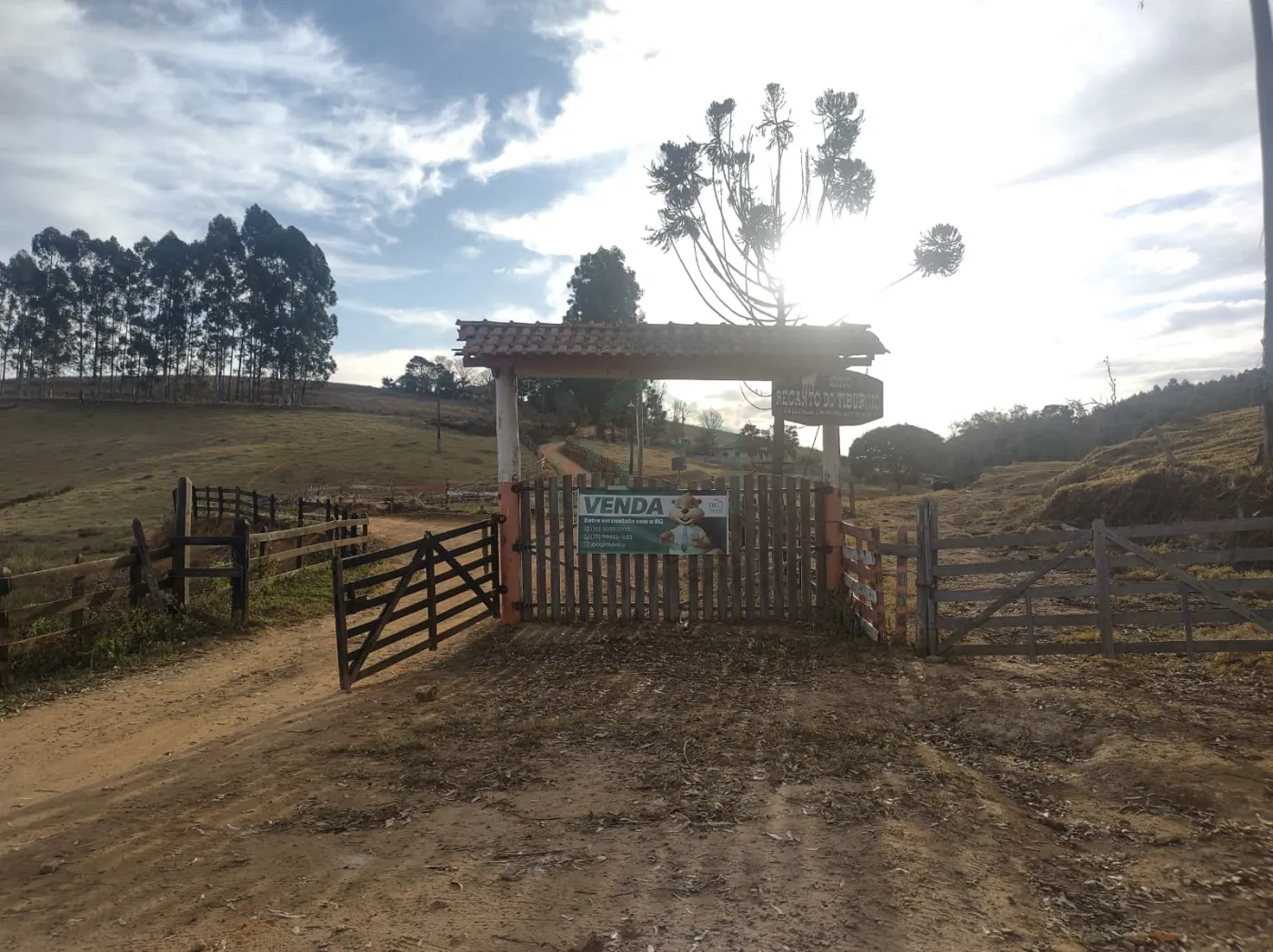 Sítio, 26 hectares - Foto 2