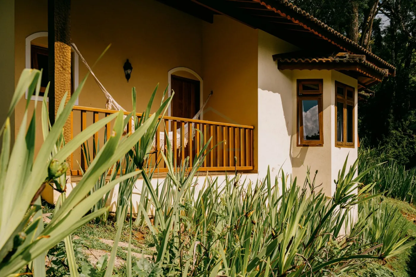 Chácara, 8100 m² - Foto 3