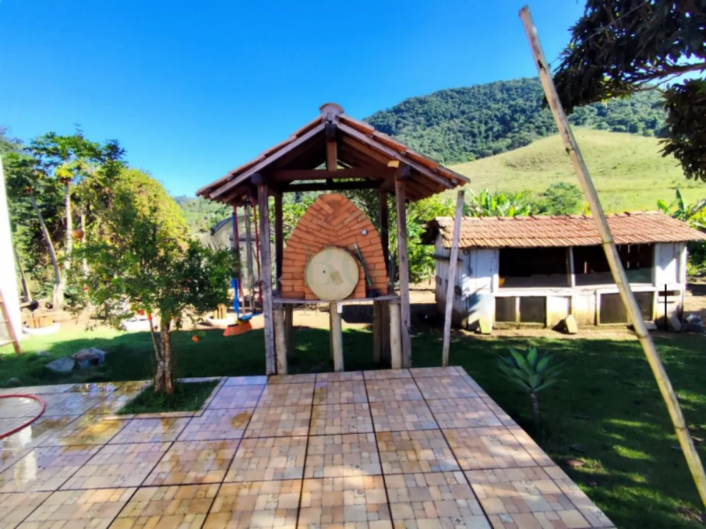 Sítio, 5 hectares - Foto 4