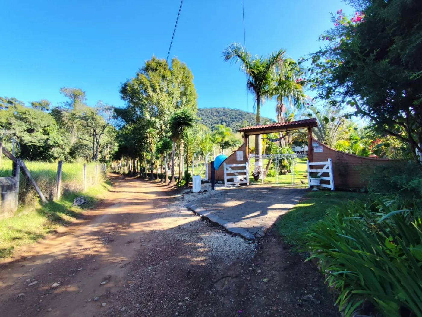 Sítio, 5 hectares - Foto 2