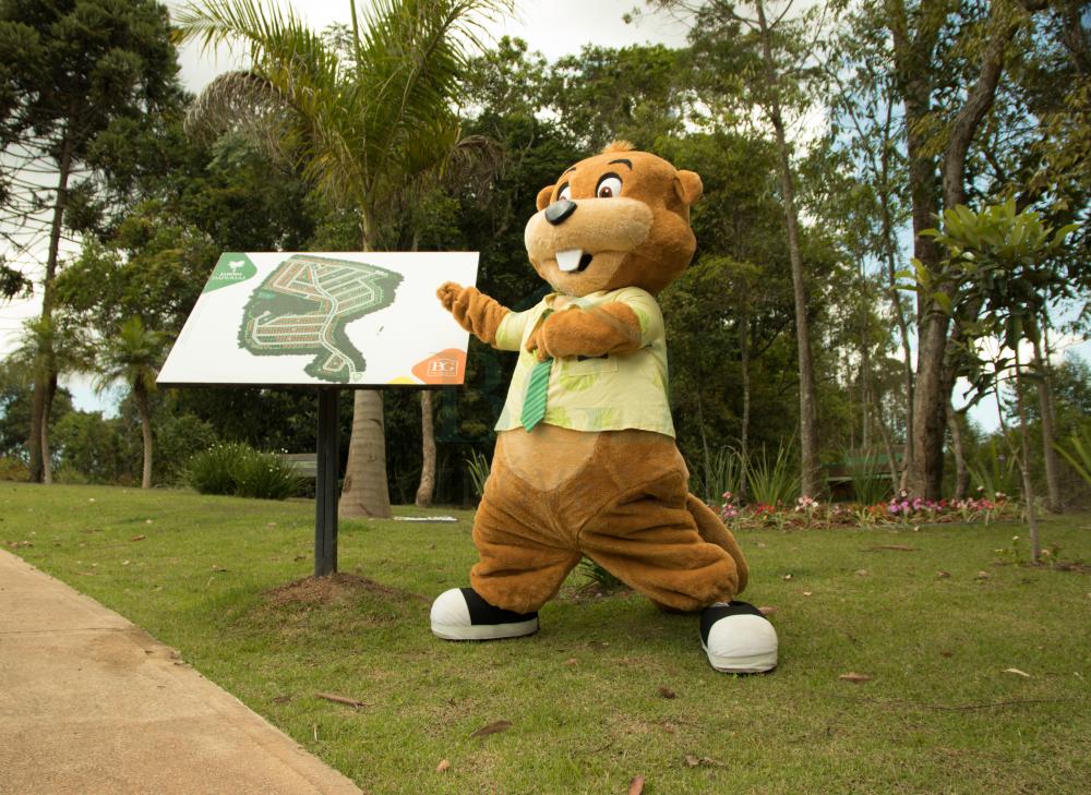 Terreno, 200 m² - Foto 13