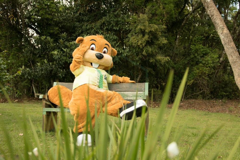 Terreno, 200 m² - Foto 16