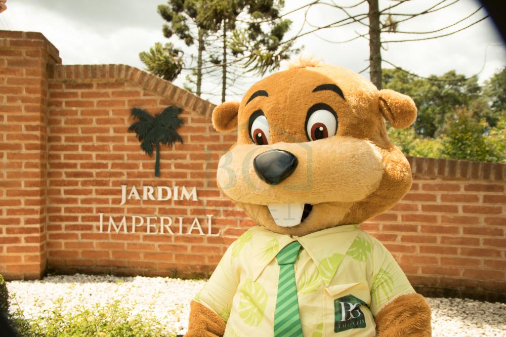 Terreno, 200 m² - Foto 14