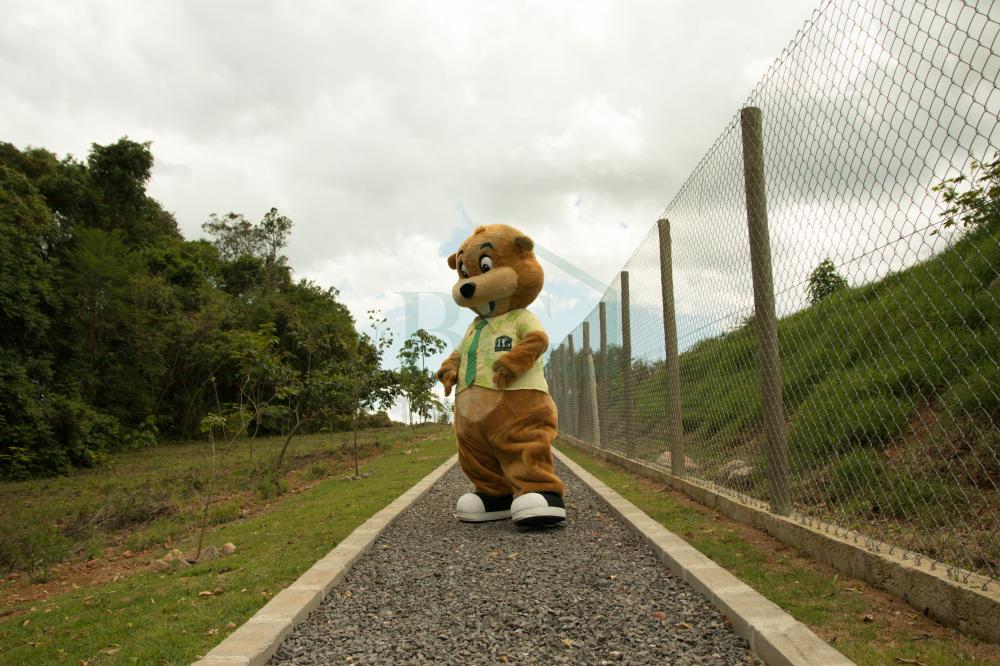 Terreno, 200 m² - Foto 21