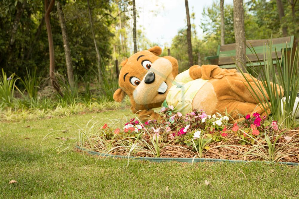 Terreno, 200 m² - Foto 18