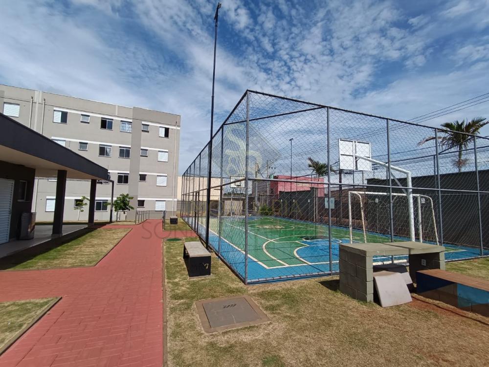 Comprar Apartamentos / Padr&atilde;o em Ribeir&atilde;o Preto R$ 169.990,00 - Foto 19