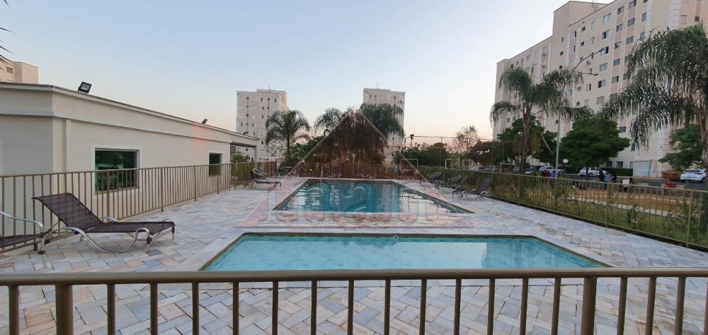 Alugar Apartamentos / Apartamento em Ribeirão Preto R$ 2.300,00 - Foto 4