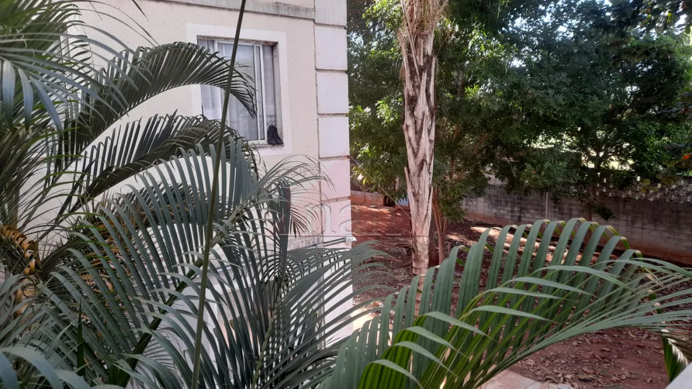 Alugar Apartamentos / Apartamento em Ribeirão Preto R$ 950,00 - Foto 15