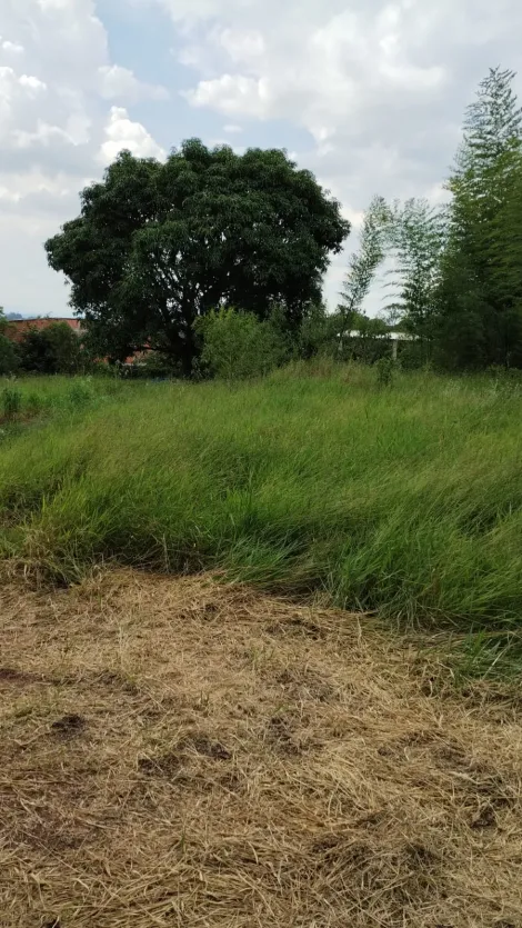 Comprar Terrenos / Terreno em Suzano R$ 400.000,00 - Foto 4
