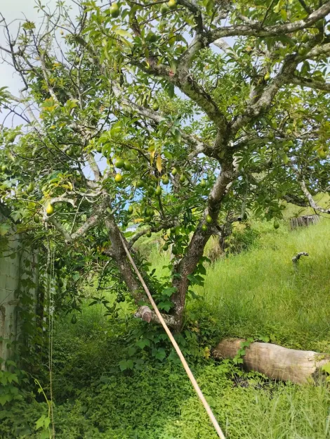 Comprar Terrenos / Terreno em Suzano R$ 150.000,00 - Foto 4