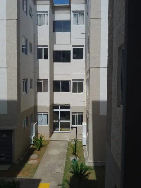 Alugar Apartamentos / Padrão em Suzano R$ 800,00 - Foto 1