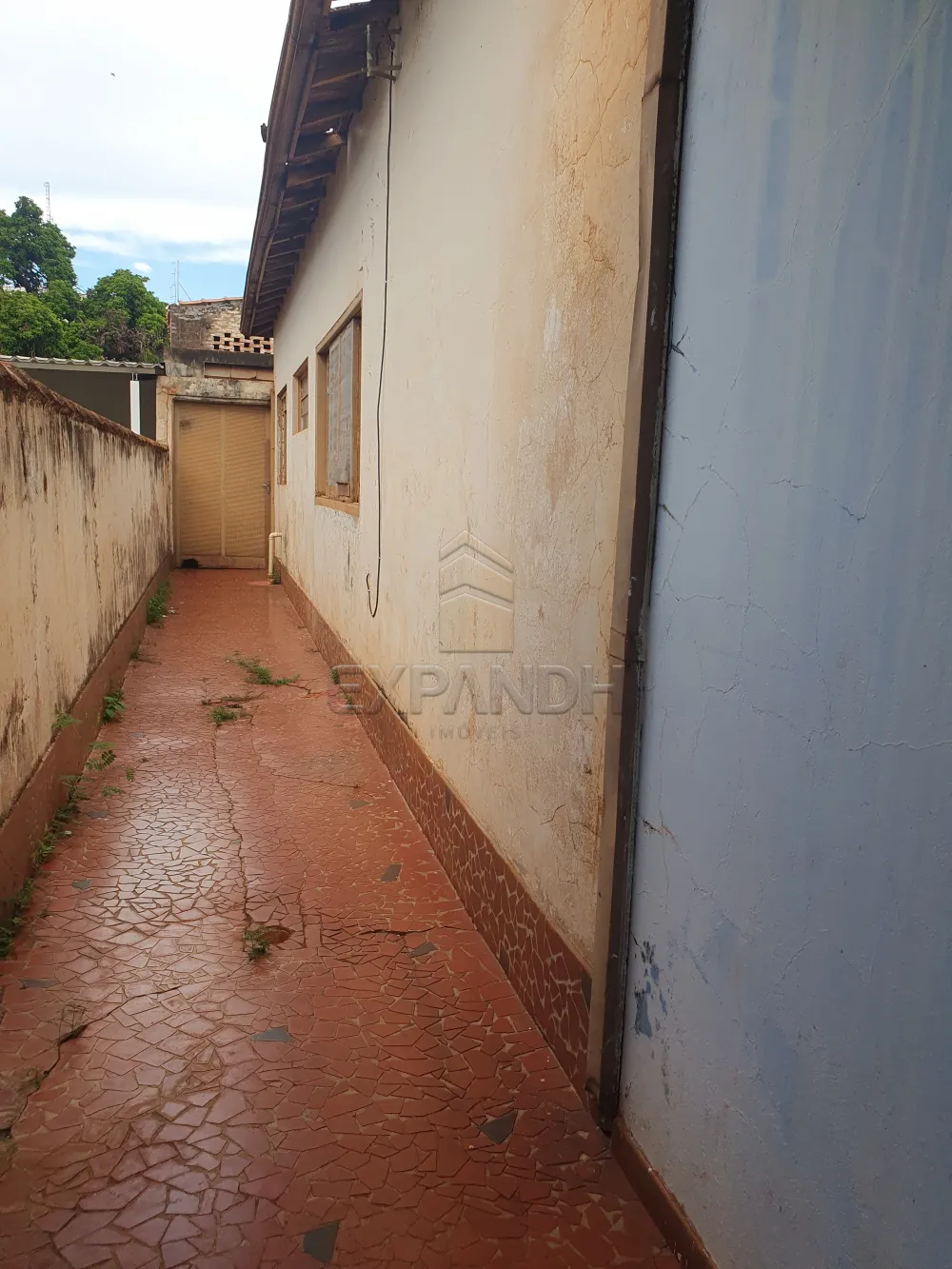 Comprar Casas / Padr&atilde;o em Sert&atilde;ozinho R$ 345.000,00 - Foto 4