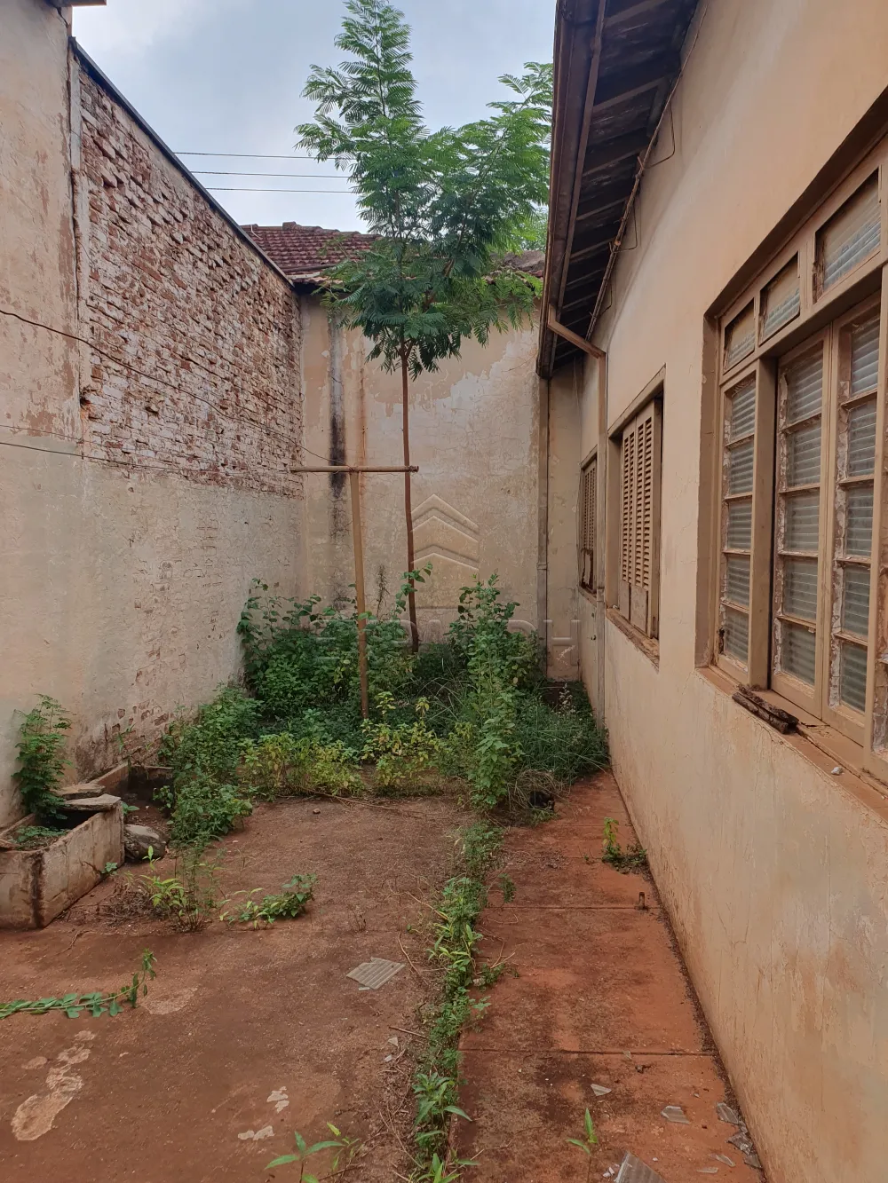 Comprar Casas / Padr&atilde;o em Sert&atilde;ozinho R$ 345.000,00 - Foto 8