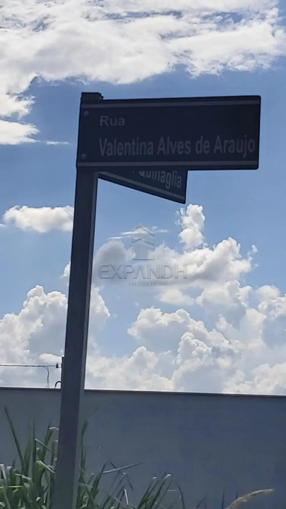 Comprar Terrenos / Padr&atilde;o em Sert&atilde;ozinho R$ 210.000,00 - Foto 3