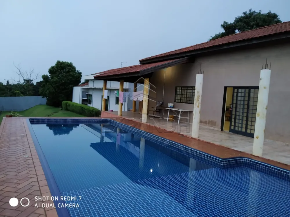 Comprar Rurais / Ch&aacute;cara em Sert&atilde;ozinho R$ 1.600.000,00 - Foto 13