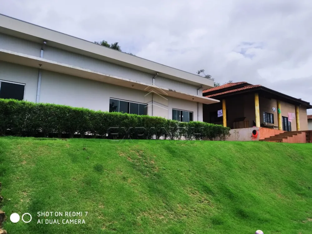 Comprar Rurais / Ch&aacute;cara em Sert&atilde;ozinho R$ 1.600.000,00 - Foto 14