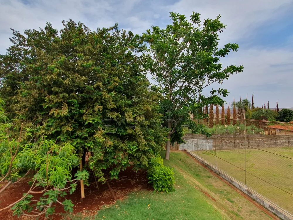 Comprar Rurais / Ch&aacute;cara em Sert&atilde;ozinho R$ 1.600.000,00 - Foto 17