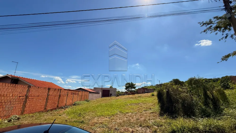 Comprar Terrenos / Padr&atilde;o em Sert&atilde;ozinho R$ 300.000,00 - Foto 2