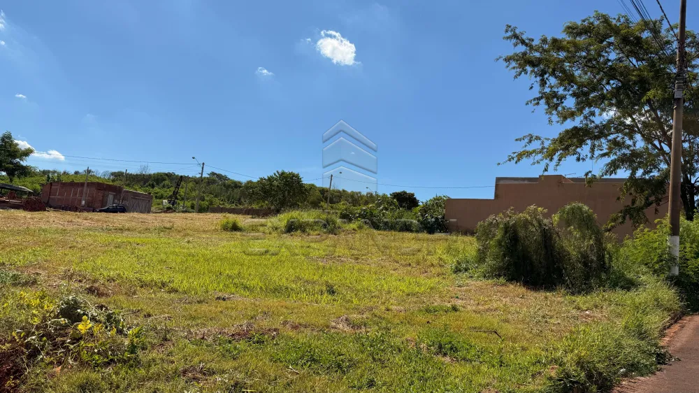 Comprar Terrenos / Padr&atilde;o em Sert&atilde;ozinho R$ 300.000,00 - Foto 5