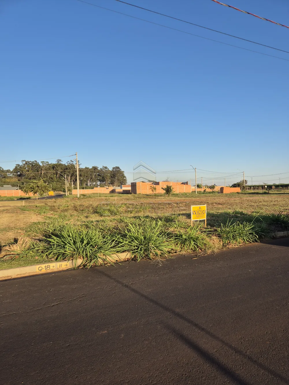 Comprar Terrenos / Padr&atilde;o em Sert&atilde;ozinho R$ 59.000,00 - Foto 1
