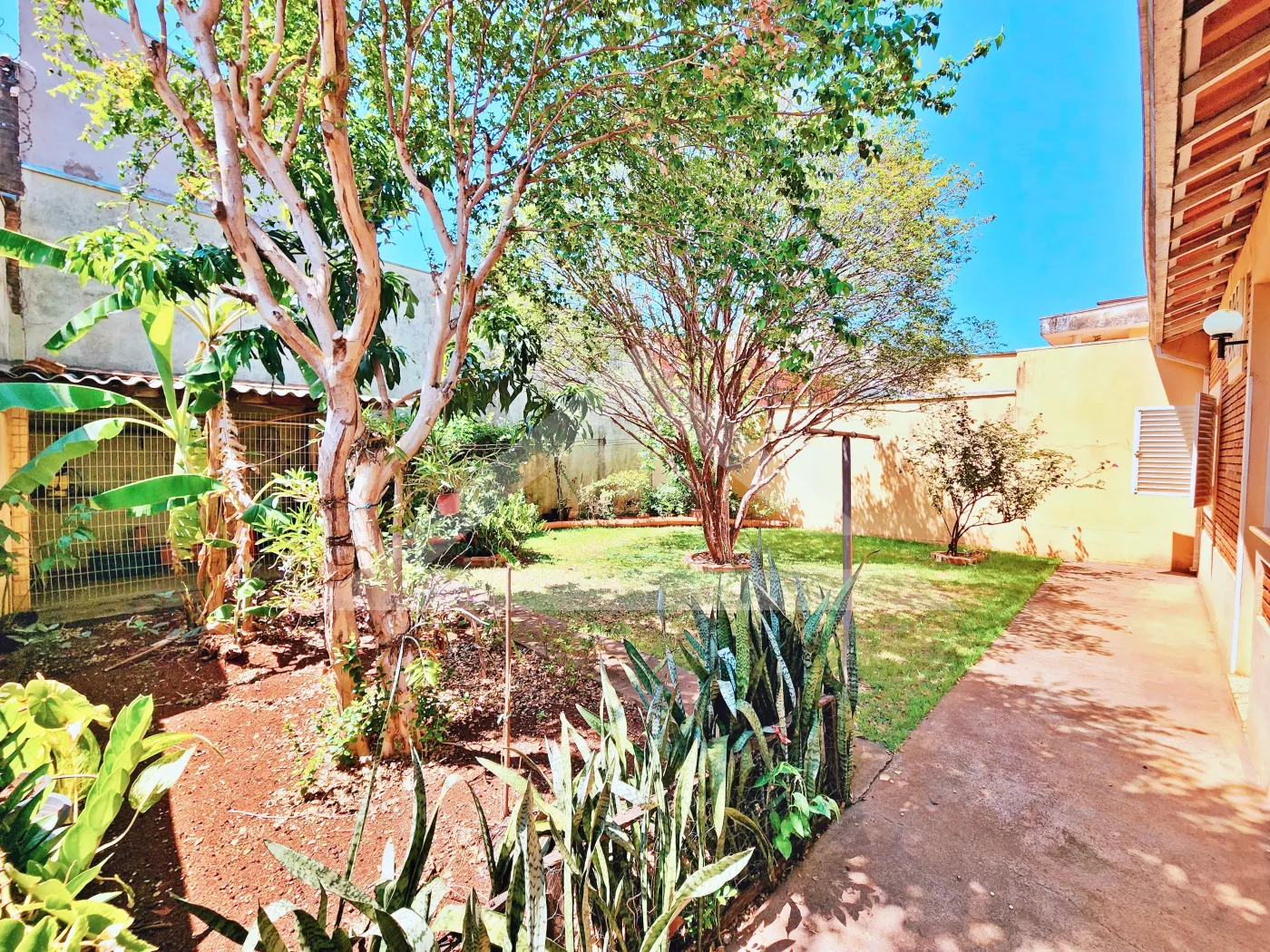 Comprar Casa / T&eacute;rrea Padr&atilde;o em Ribeir&atilde;o Preto R$ 780.000,00 - Foto 18