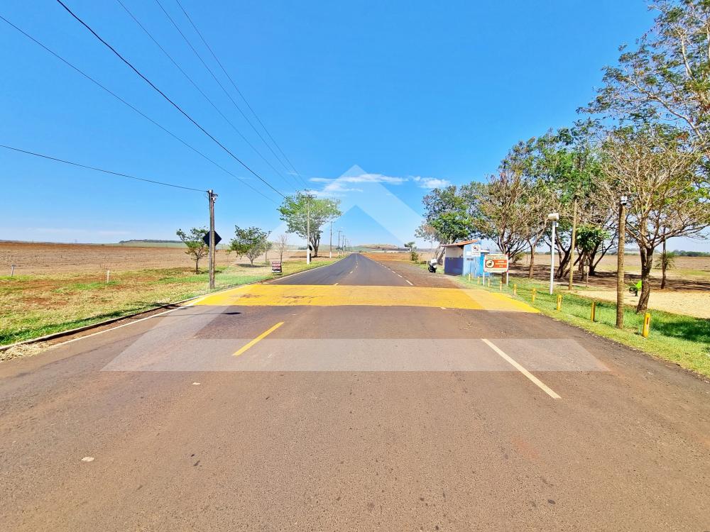 Comprar Casa / T&eacute;rrea Condom&iacute;nio em Ribeir&atilde;o Preto R$ 750.000,00 - Foto 3