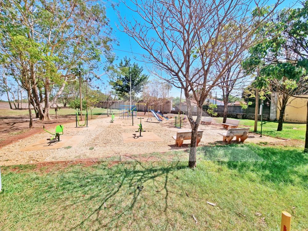 Comprar Casa / T&eacute;rrea Condom&iacute;nio em Ribeir&atilde;o Preto R$ 750.000,00 - Foto 5