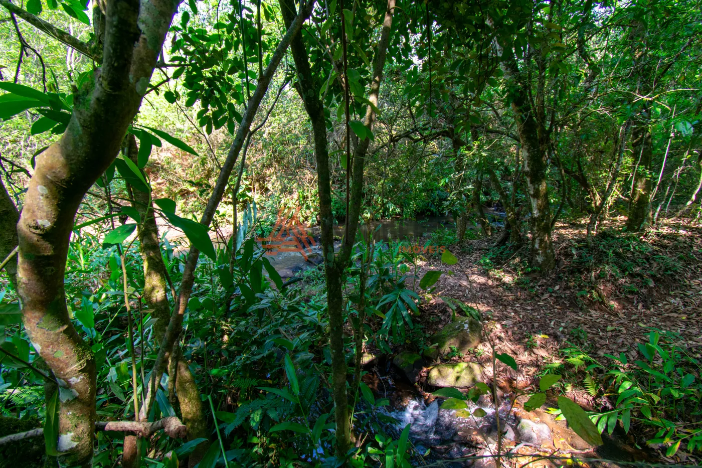 Comprar Rural / S&iacute;tio em Patroc&iacute;nio Paulista R$ 1.300.000,00 - Foto 19