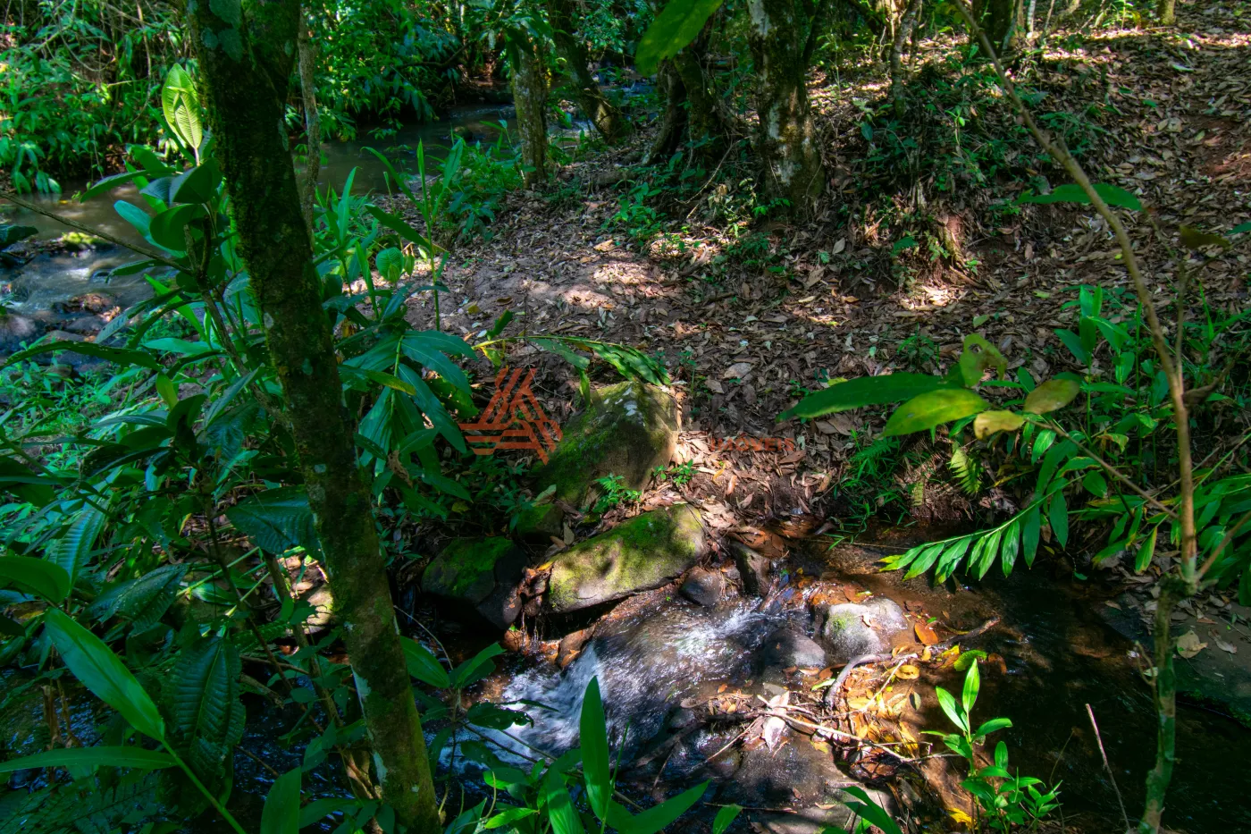 Comprar Rural / S&iacute;tio em Patroc&iacute;nio Paulista R$ 1.300.000,00 - Foto 20