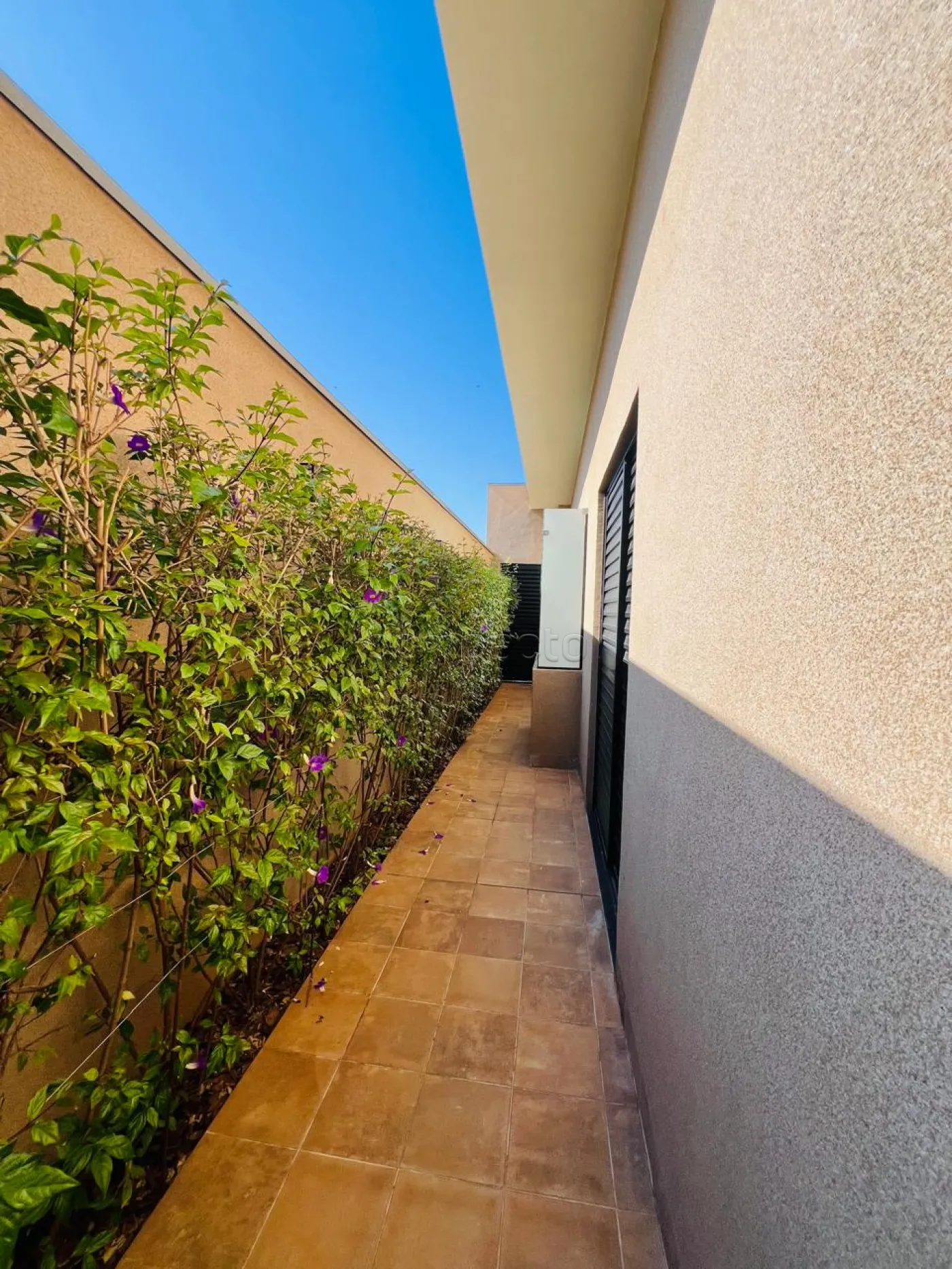 Alugar Casa / Condom&iacute;nio em S&atilde;o Jos&eacute; do Rio Preto R$ 7.500,00 - Foto 35